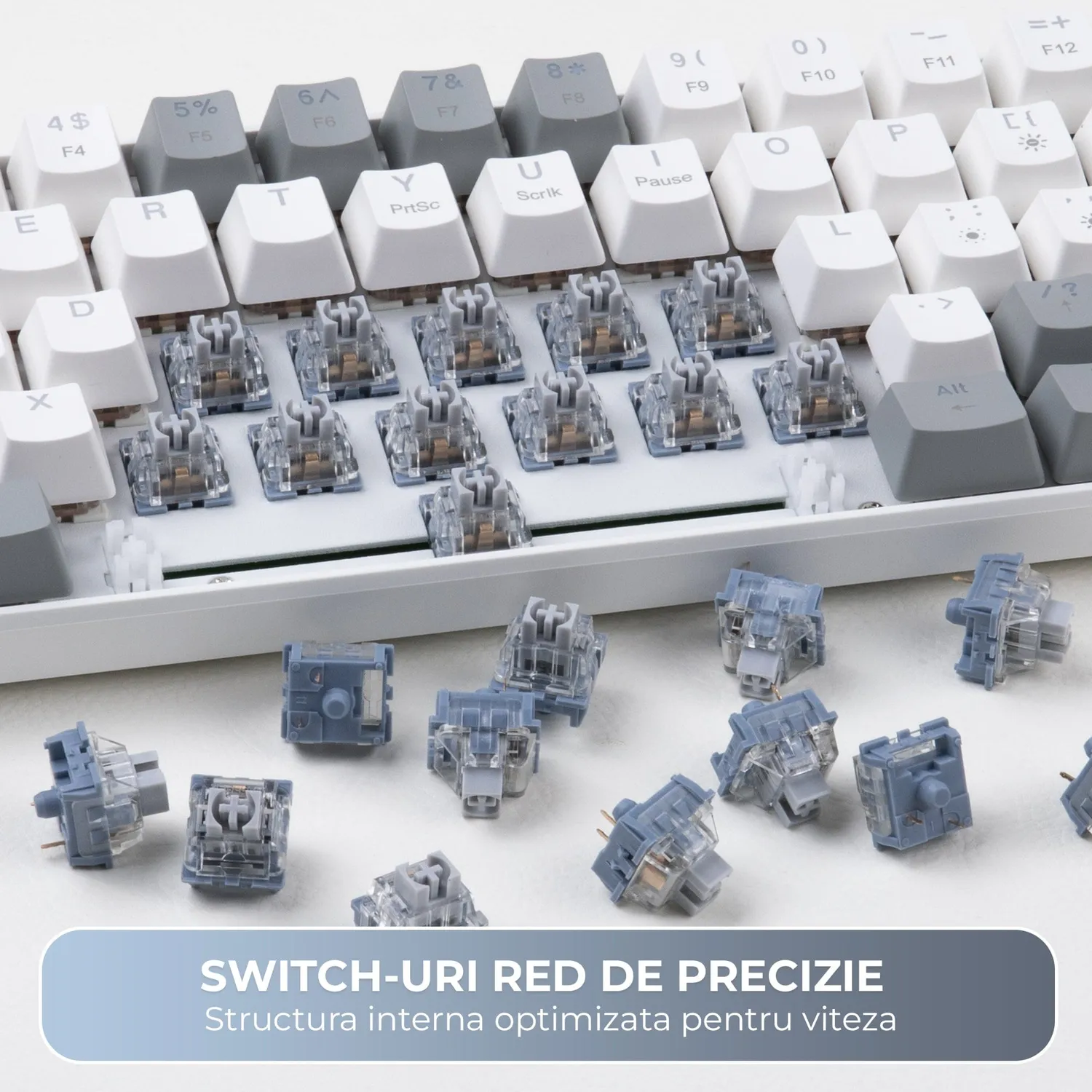 Switch-uri Timebox mecanice lineare 3-Pin 110buc