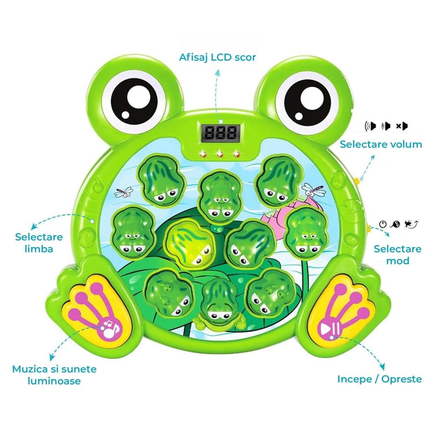 Timebox joc Loveste Broscuta interactiv verde 2 ciocanele