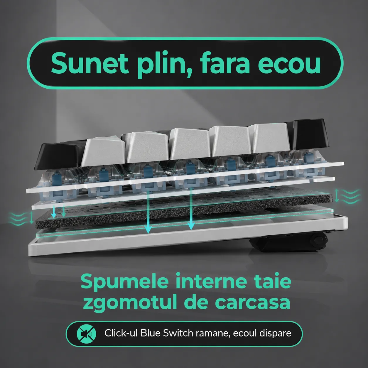 Timebox 75% tastatura mecanica Blue Switch Hot-Swap negru