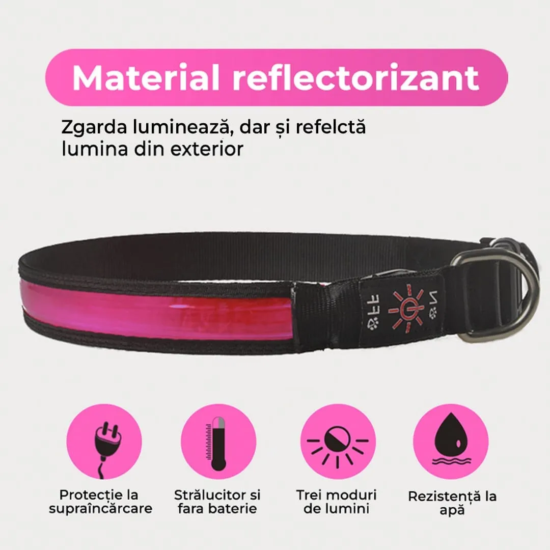 Timebox zgarda LED caini roz S reflectorizanta