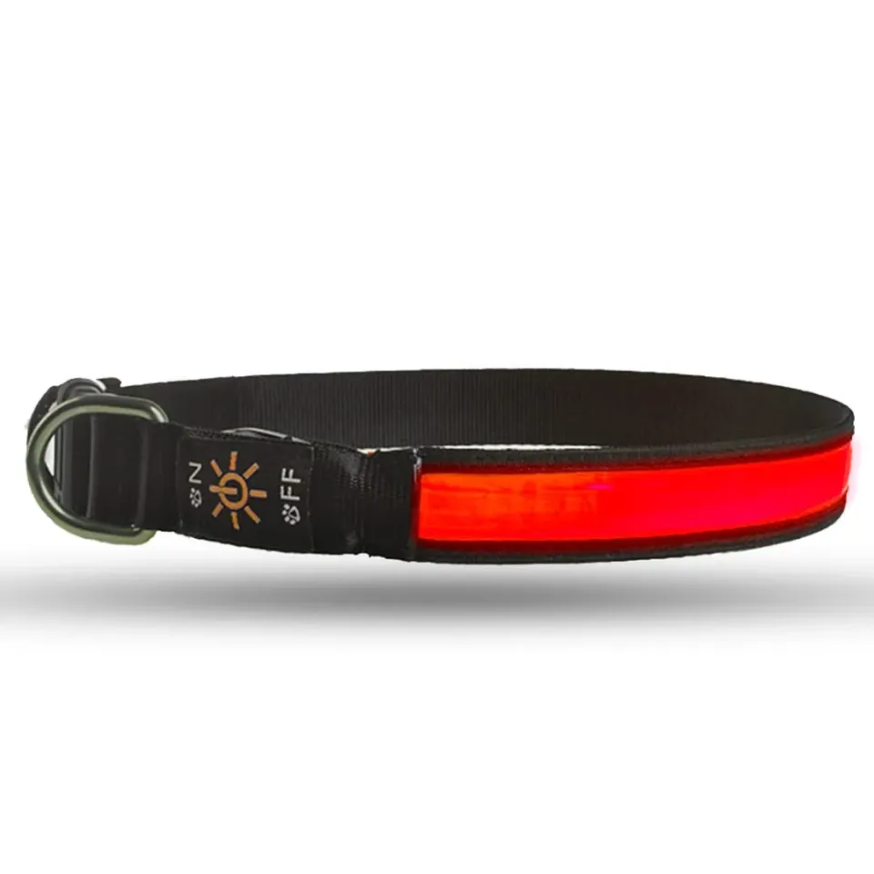 Timebox S zgarda caine LED reflectorizanta