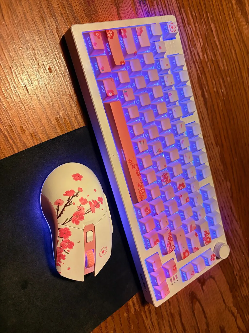 Dareu EM901X mouse gaming wireless roz dock RGB