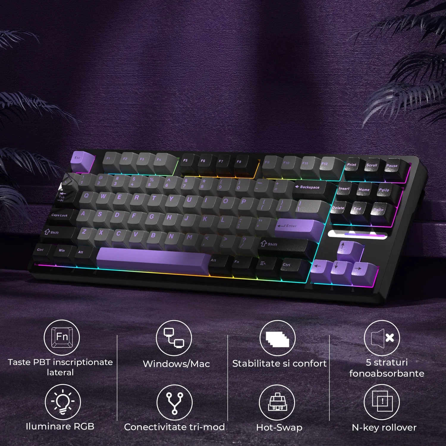 Timebox 80% tastatura mecanica gaming wireless mov RGB