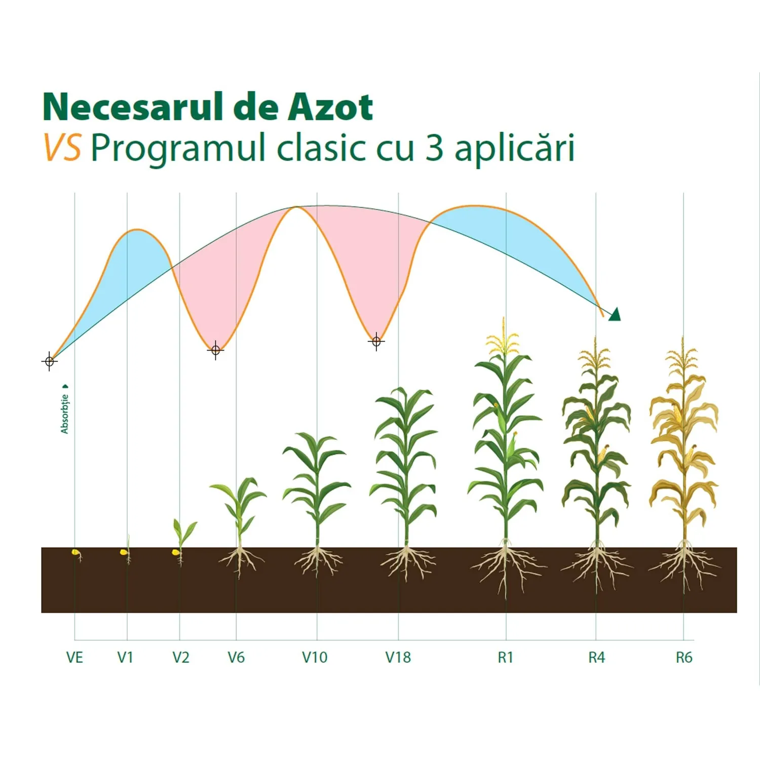 N-Durro 46 ingrasamant azot 2kg efect 100 zile