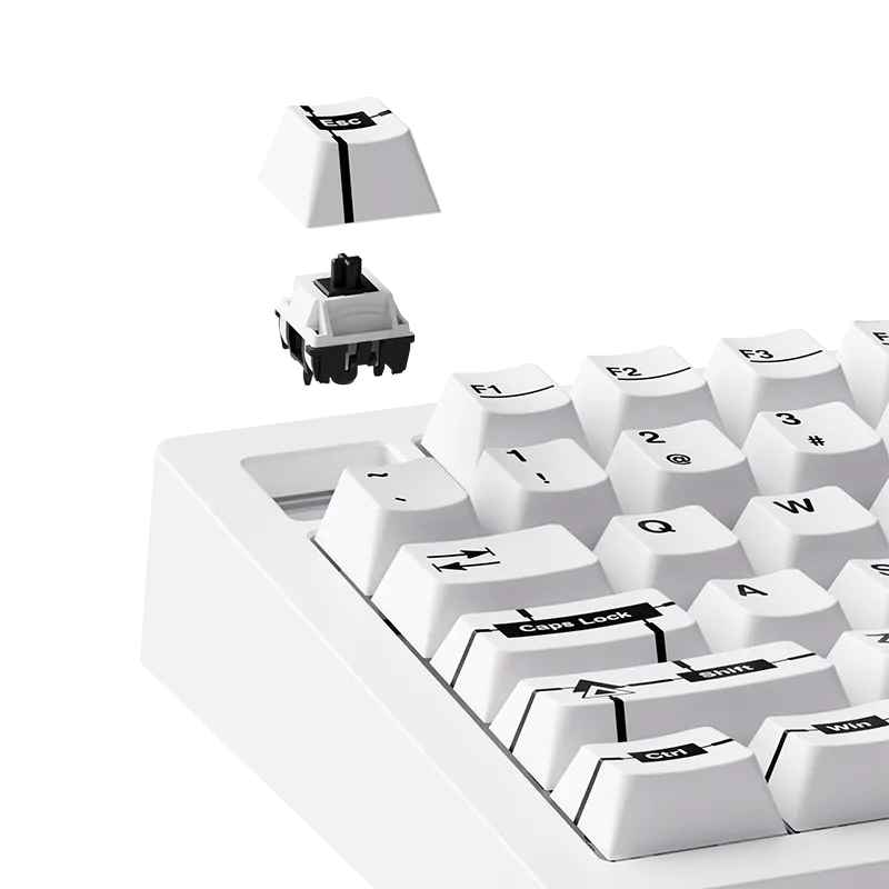 MonsGeek M1 V5 VIA Prototype tastatura programmabila