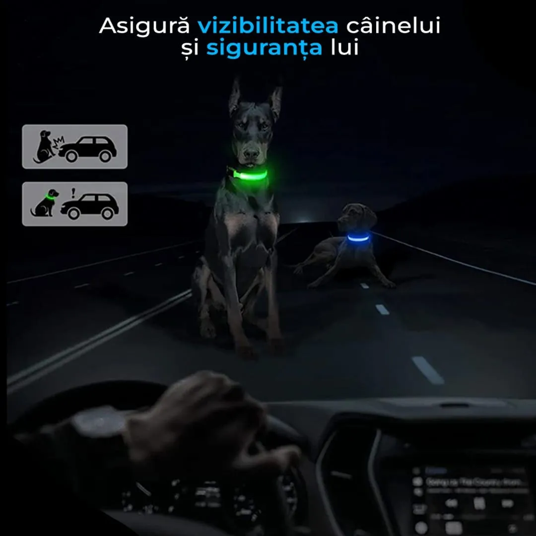 Timebox zgardă LED câini S reflectorizantă 3 moduri
