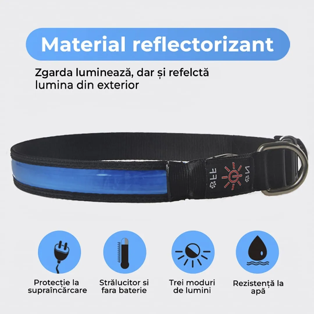 Timebox zgardă LED câini S reflectorizantă 3 moduri