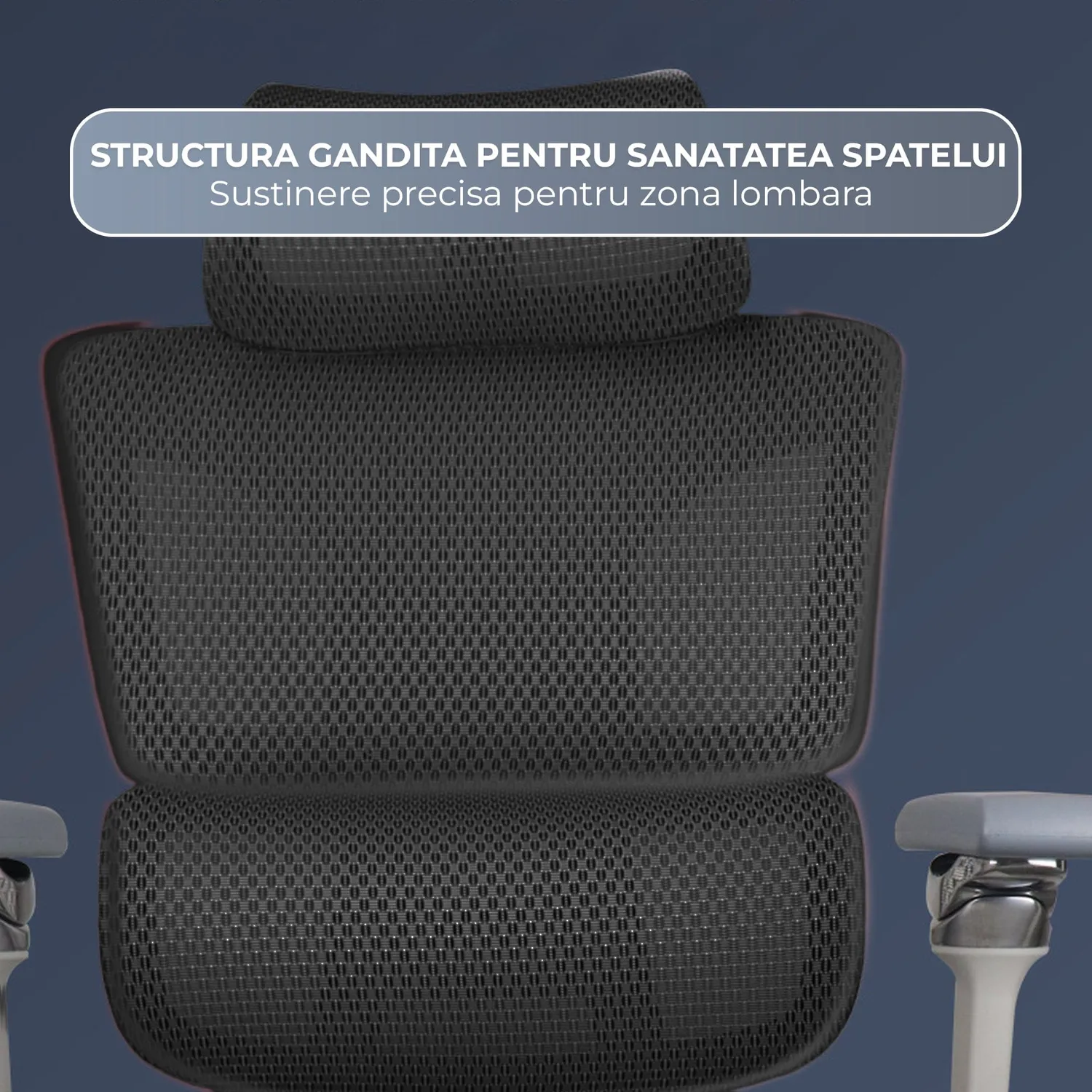 Timebox 8D scaun ergonomic birou negru reglabil