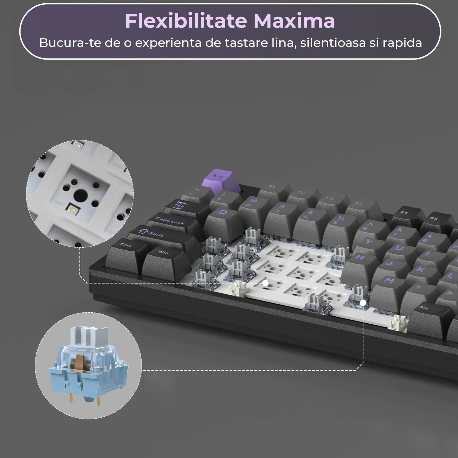 Timebox 80% tastatura mecanica gaming wireless mov RGB
