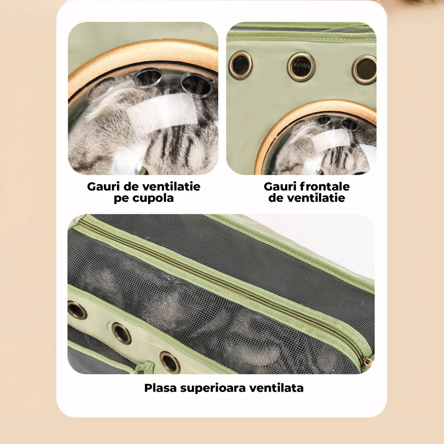 Timebox Geanta Transport Animale Pliabila Verde Capsula
