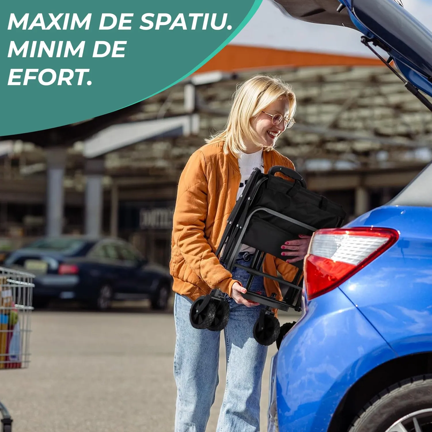 Timebox Carucior Pliabil Transport 115kg 100L