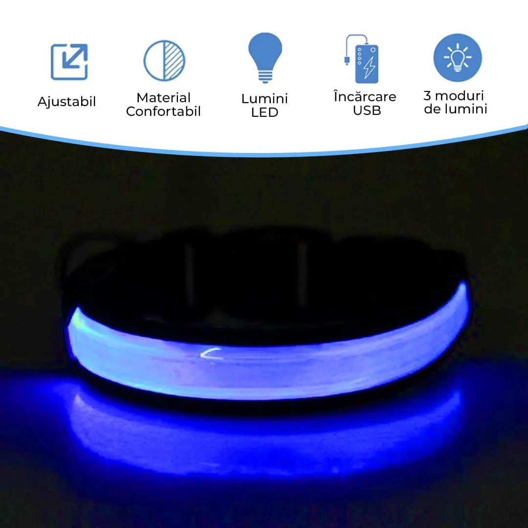Timebox zgardă LED câini S reflectorizantă 3 moduri