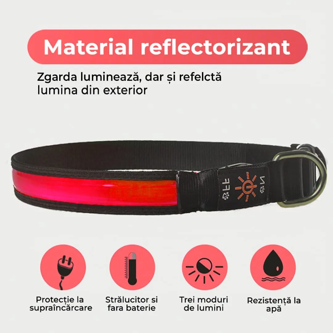 Timebox S zgarda caine LED reflectorizanta
