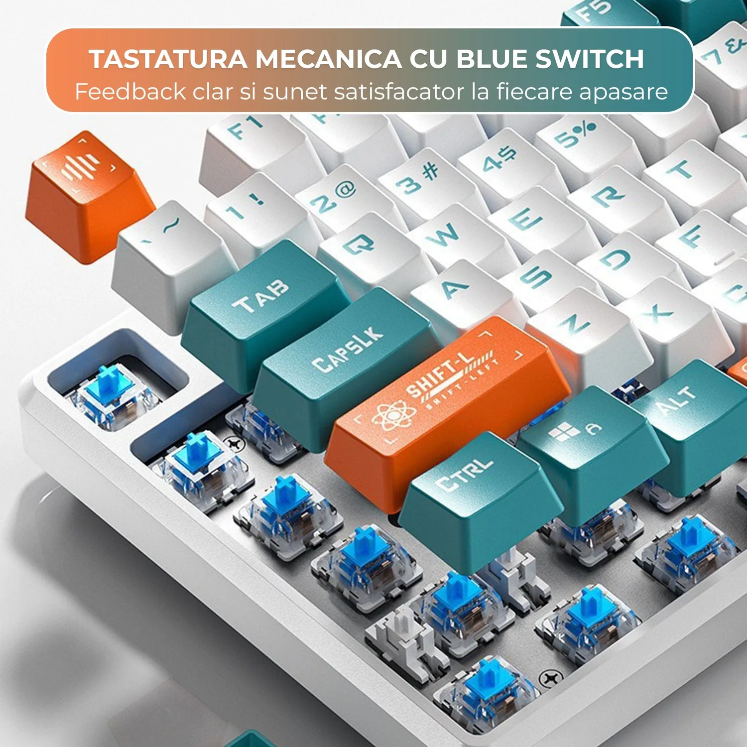 Timebox Tastatură Mecanică Gaming 104 Blue Switch Alb RGB