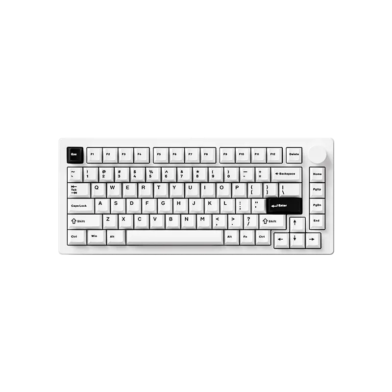 MonsGeek M1 V5 Black-on-White tastatura mecanica RGB