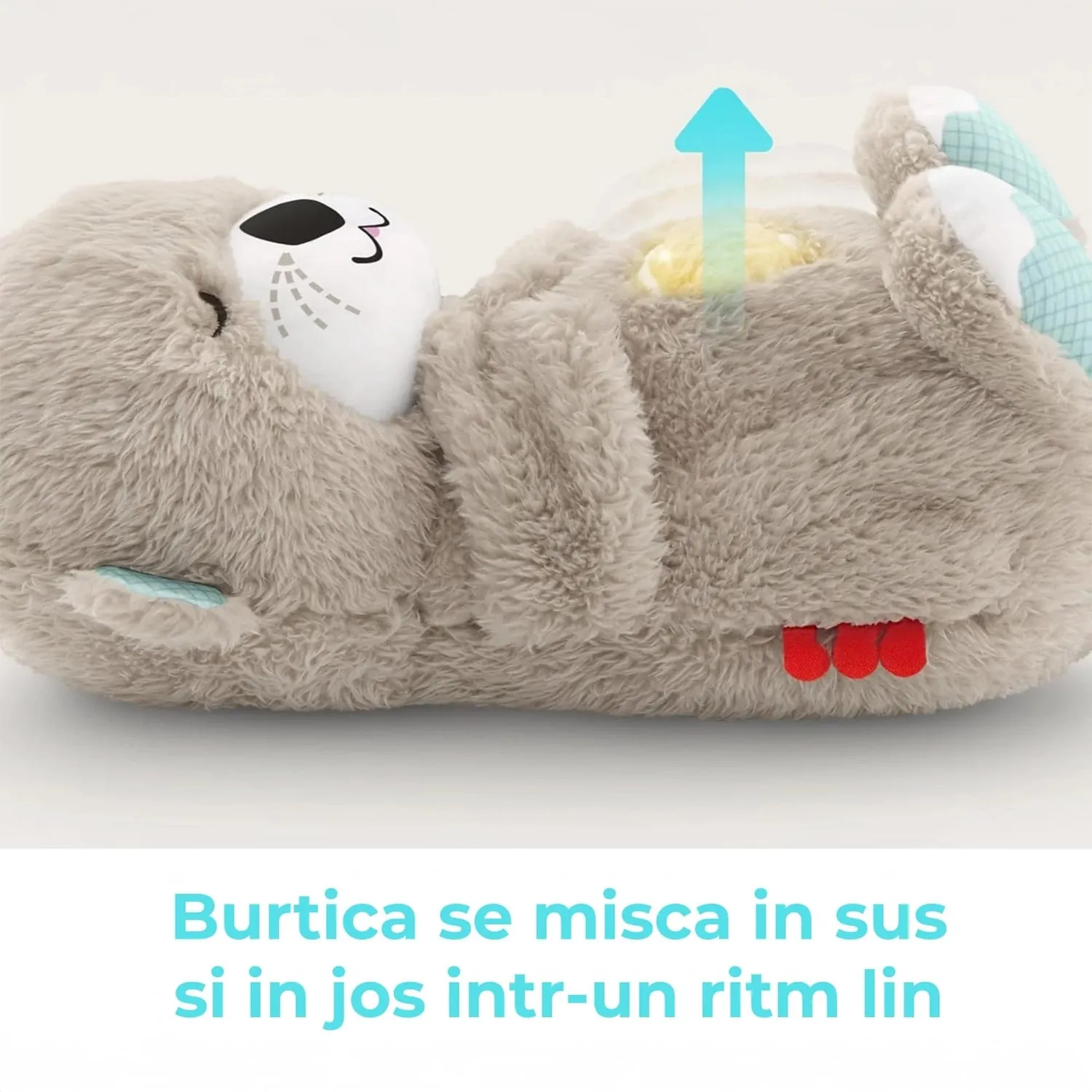 Pachet Timebox bebelusi carucior vidra maro