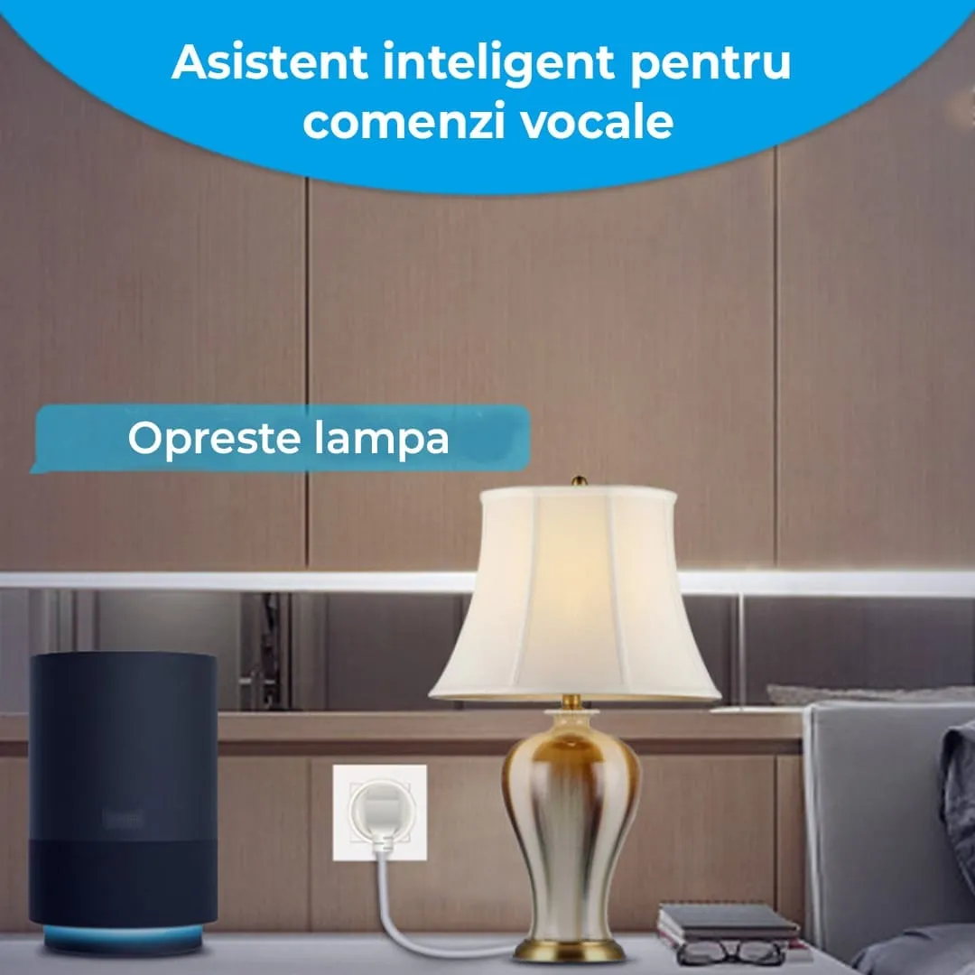 Timebox priza smart wireless 2x USB WiFi