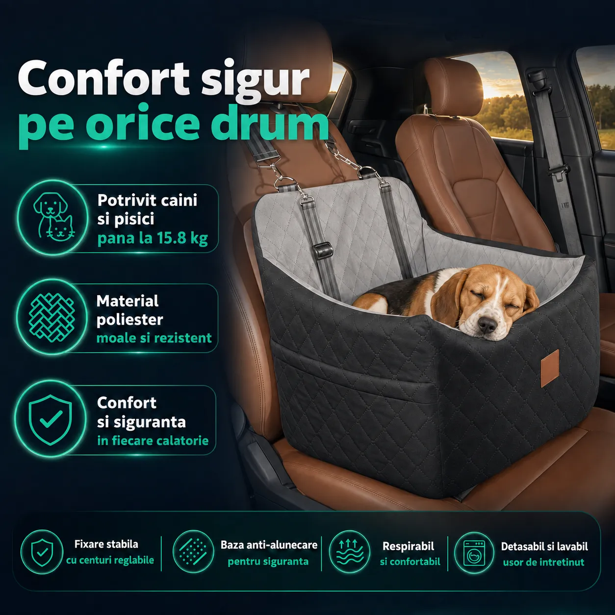 Timebox Scaun Auto Animale Lavabil 47x47x45 cm