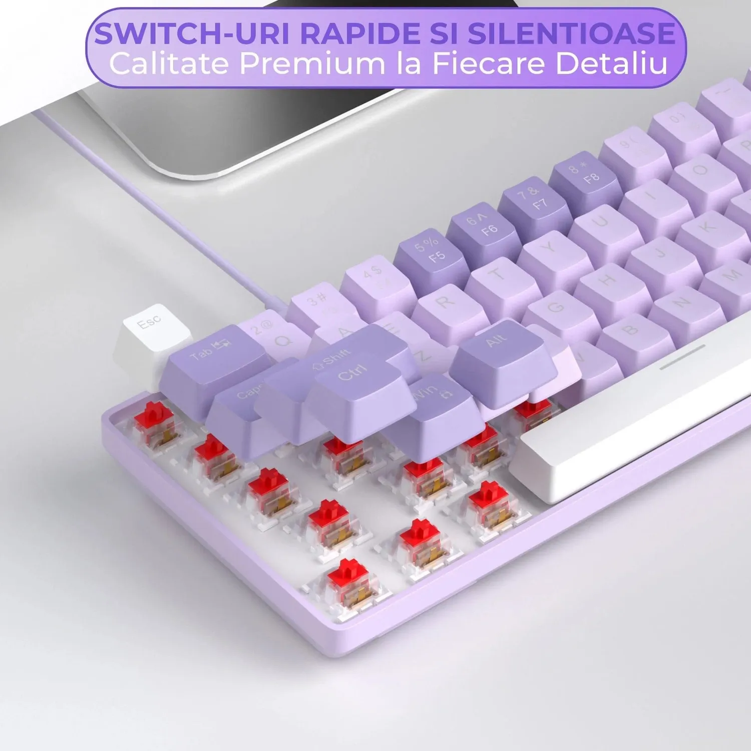 Set gaming Timebox 60% Violet Switch tastatura wireless alb
